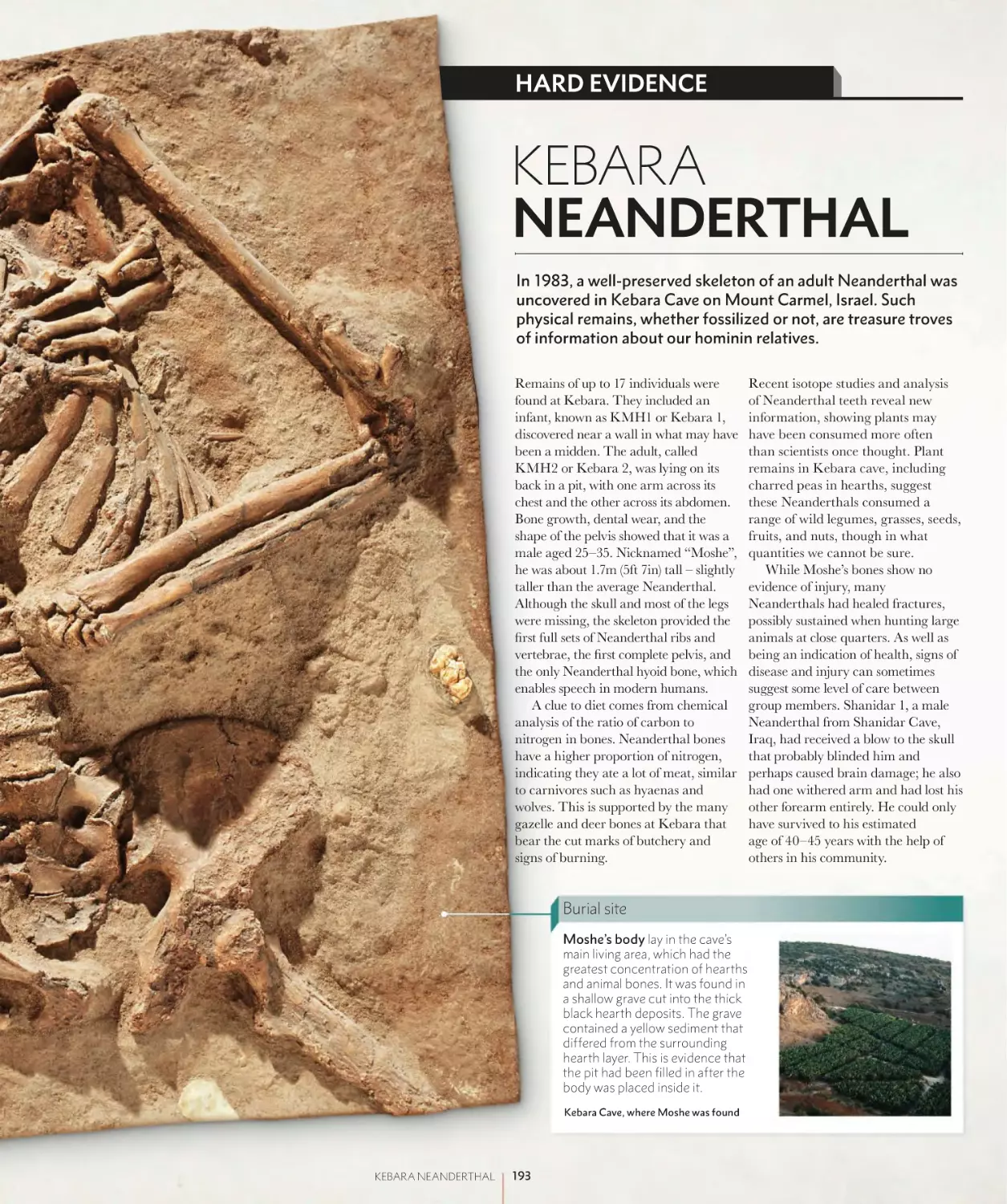 KEBRA NEANDERTHAL