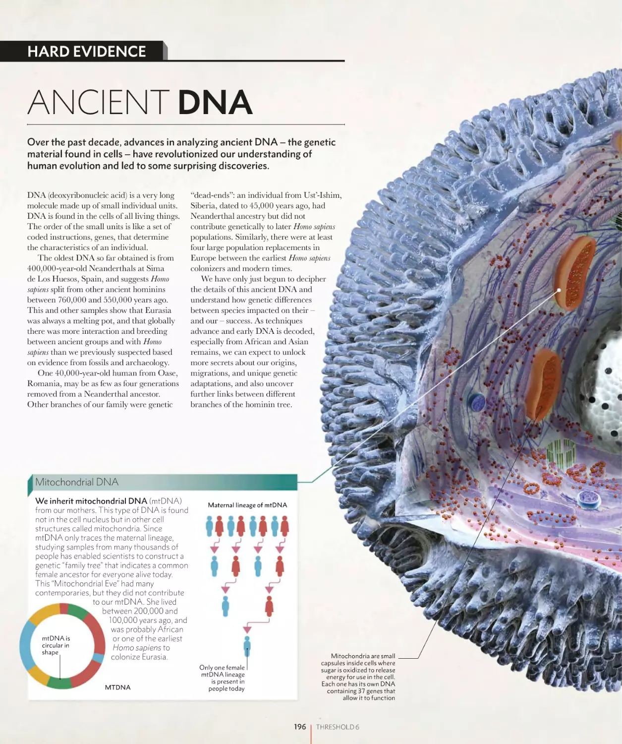 ANCIENT DNA