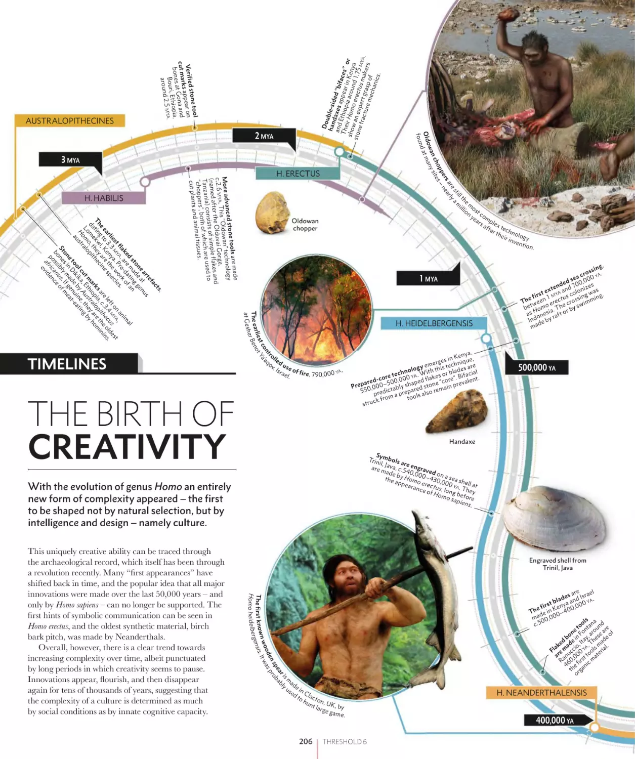 THE BIRTH OF CREATIVITY