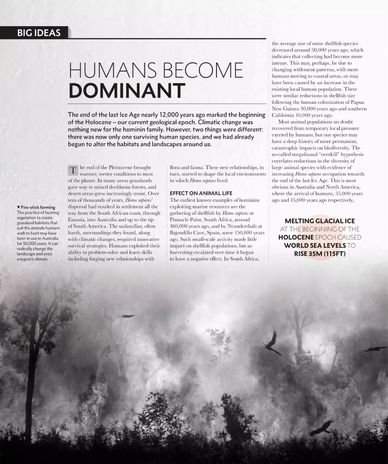 HUMANS BECOME DOMINANT