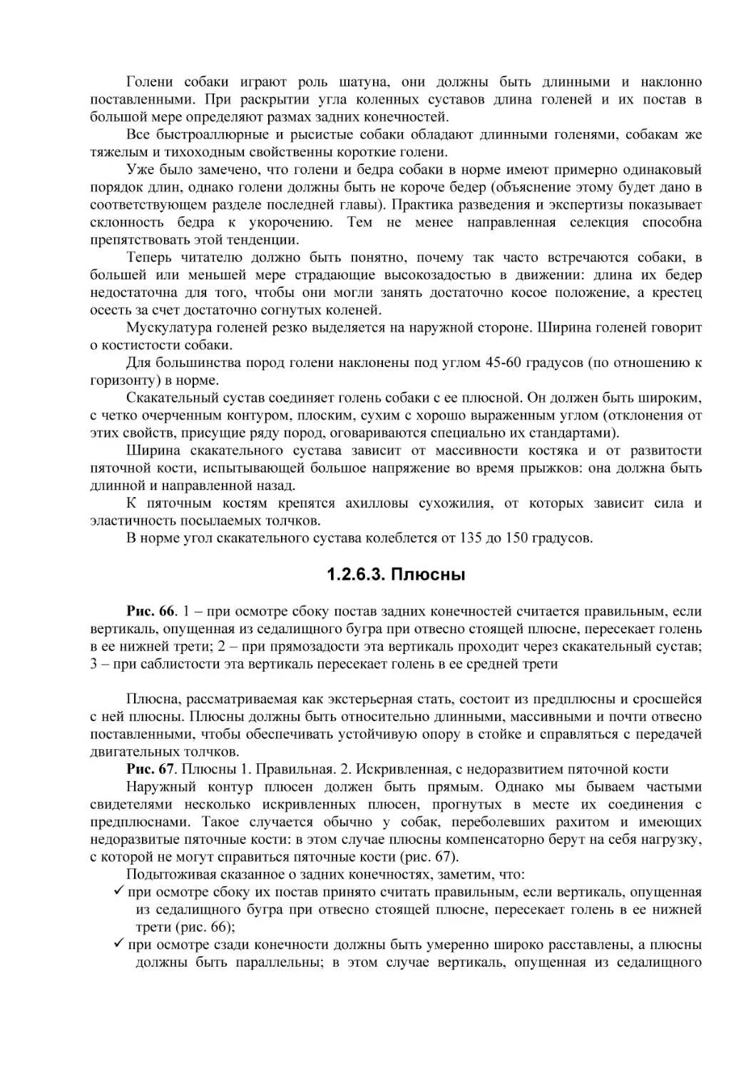 1.2.6.3. Плюсны