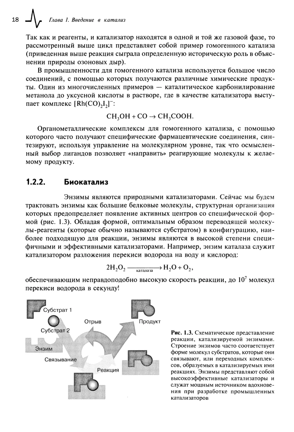 1.2.2. Биокатализ