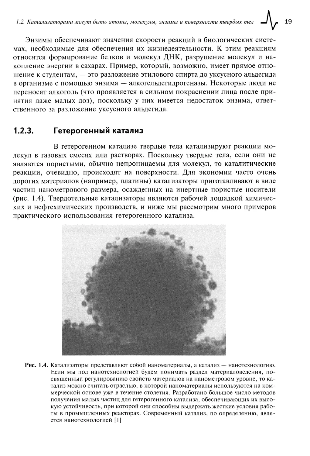 1.2.3. Гетерогенный катализ