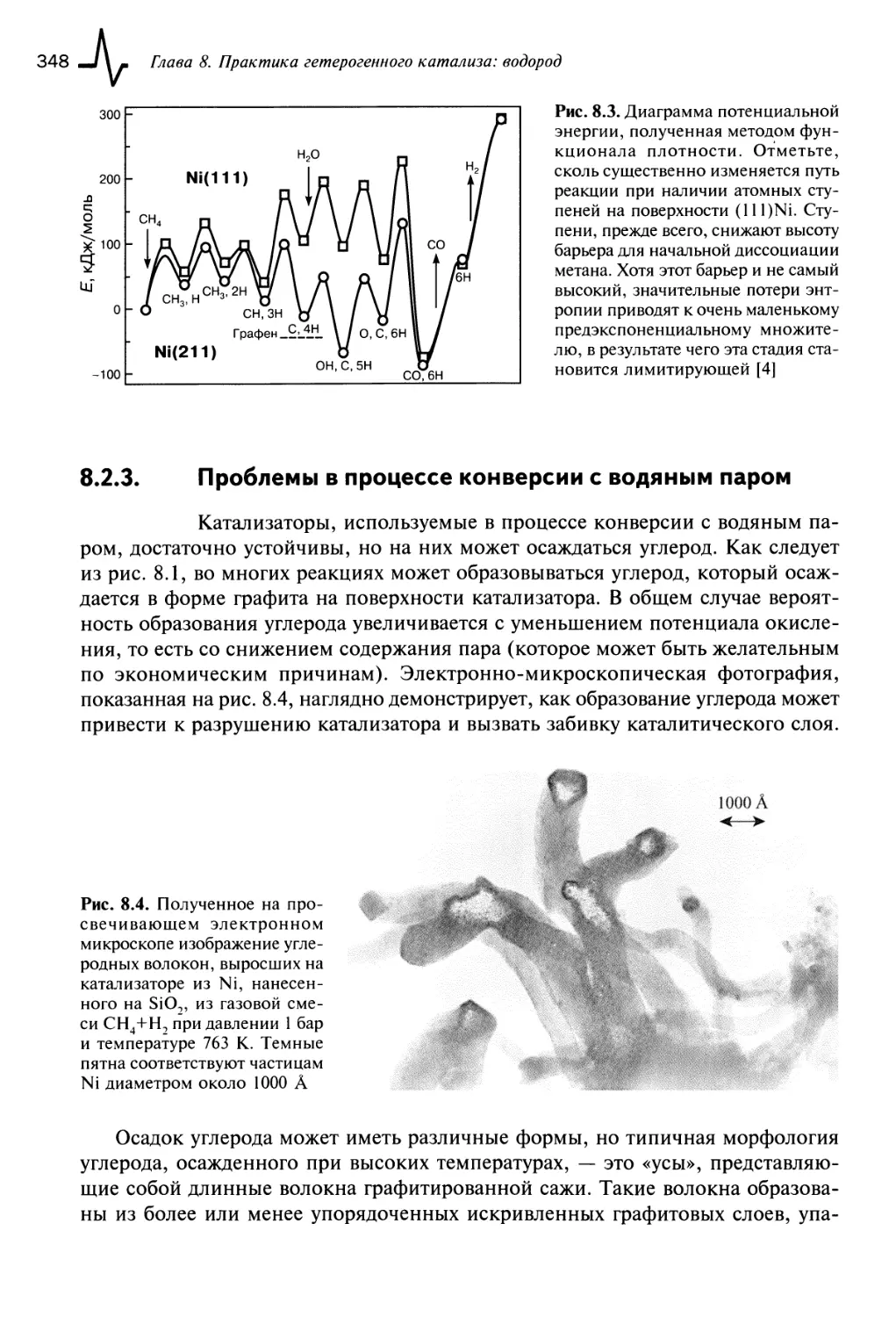 8.2.3. Проблемы в процессе конверсии с водяным паром