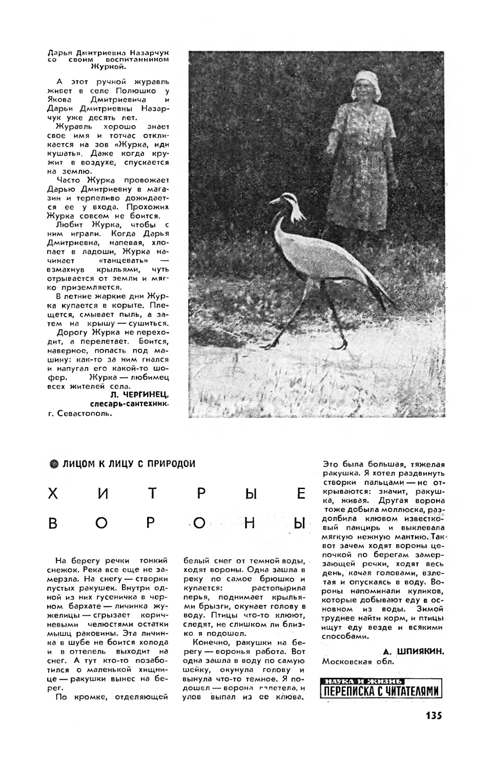 Л. ЧЕРГИНЕЦ — Журавель
[Лицом к лицу с природой] — А. ШПИЯКИН — Хитрые вороны