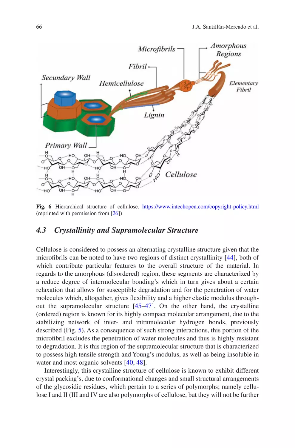4.3 Crystallinity and Supramolecular Structure