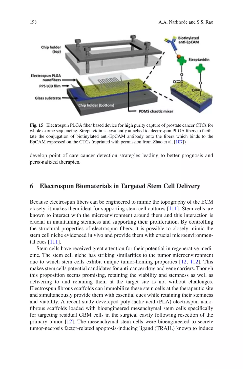 6 Electrospun Biomaterials in Targeted Stem Cell Delivery