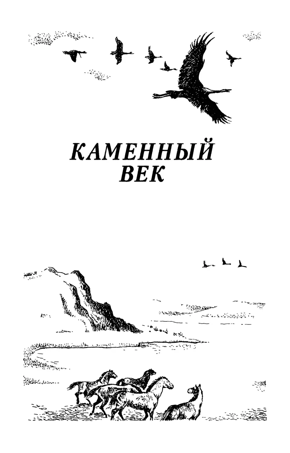 КАМЕННЫЙ ВЕК