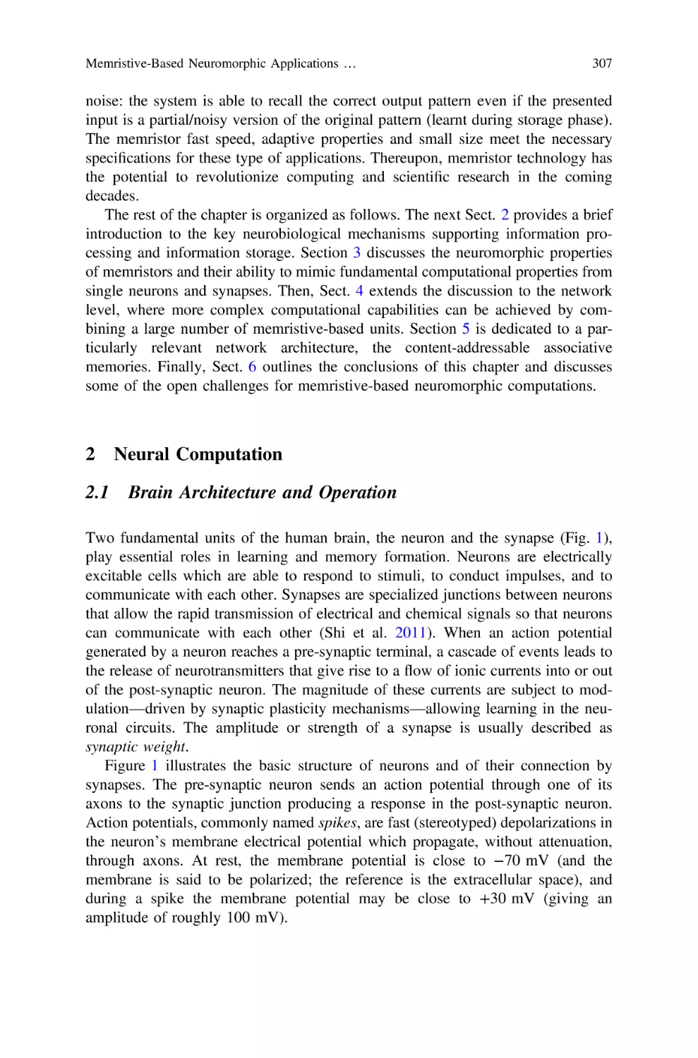 2 Neural Computation
2.1 Brain Architecture and Operation