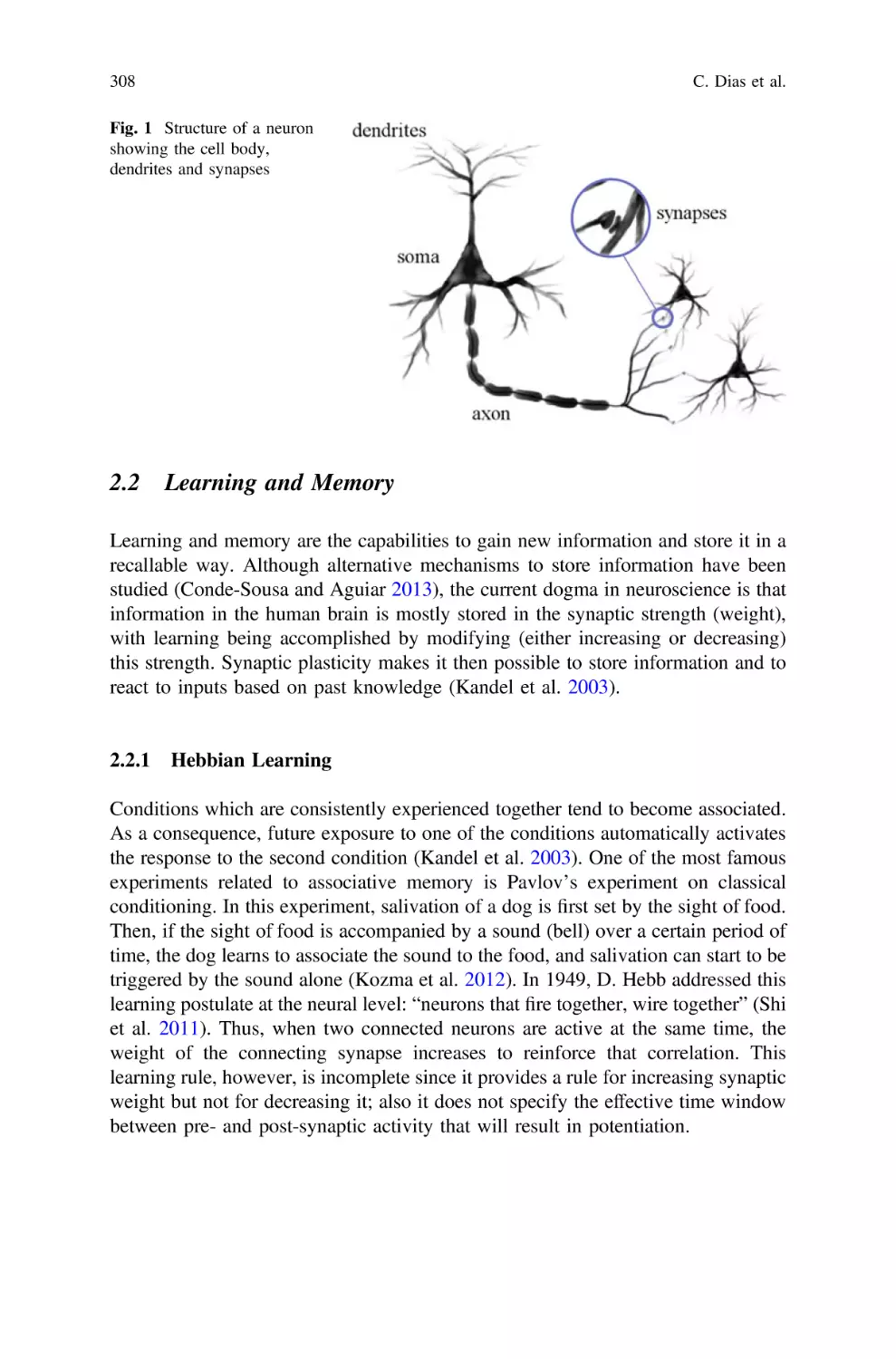 2.2 Learning and Memory
2.2.1 Hebbian Learning