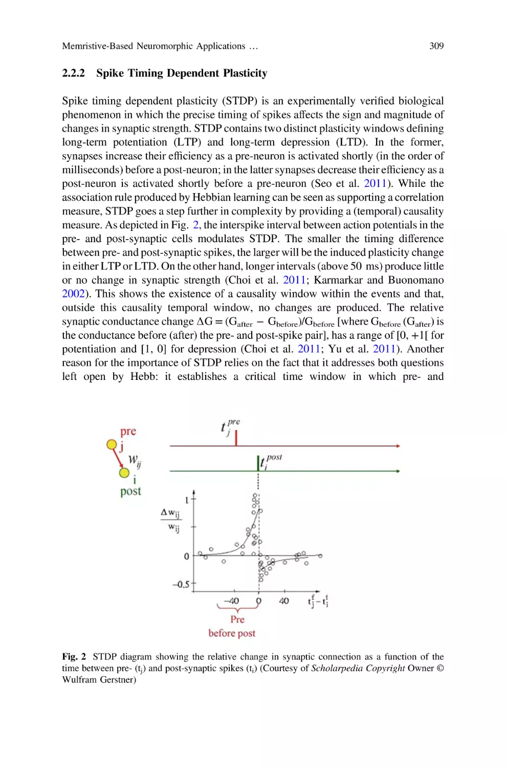 2.2.2 Spike Timing Dependent Plasticity