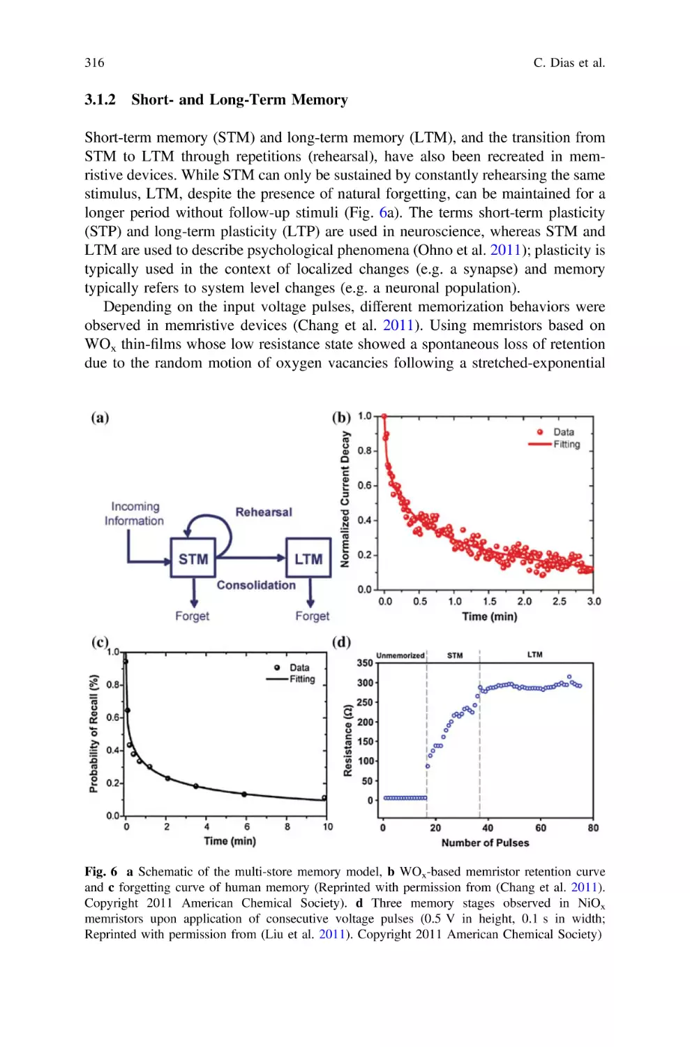 3.1.2 Short- and Long-Term Memory