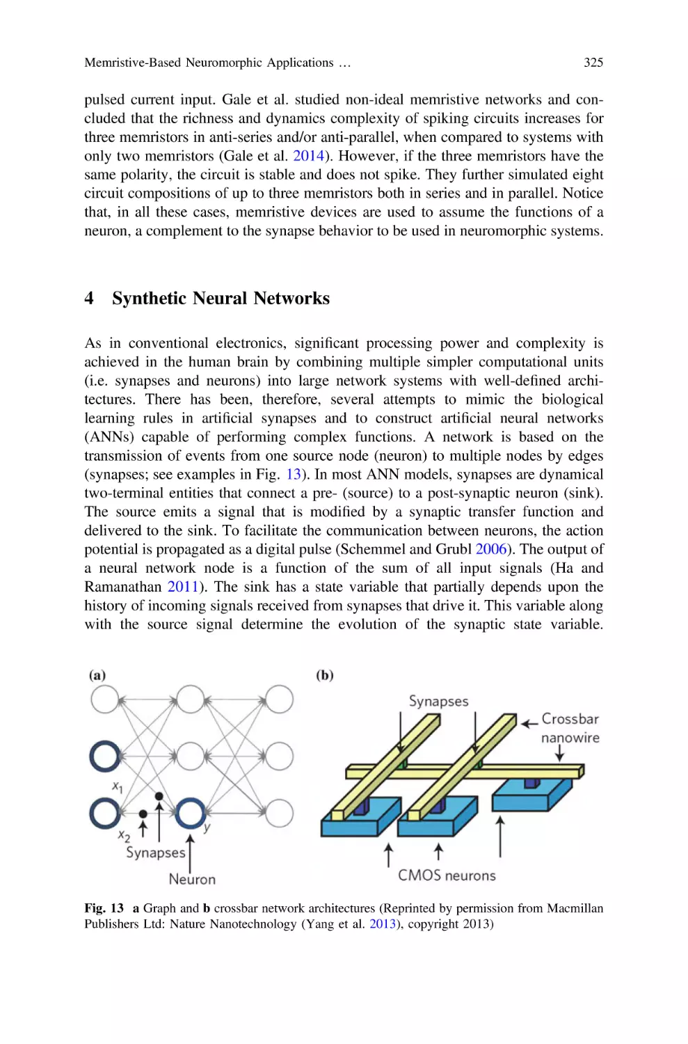 4 Synthetic Neural Networks