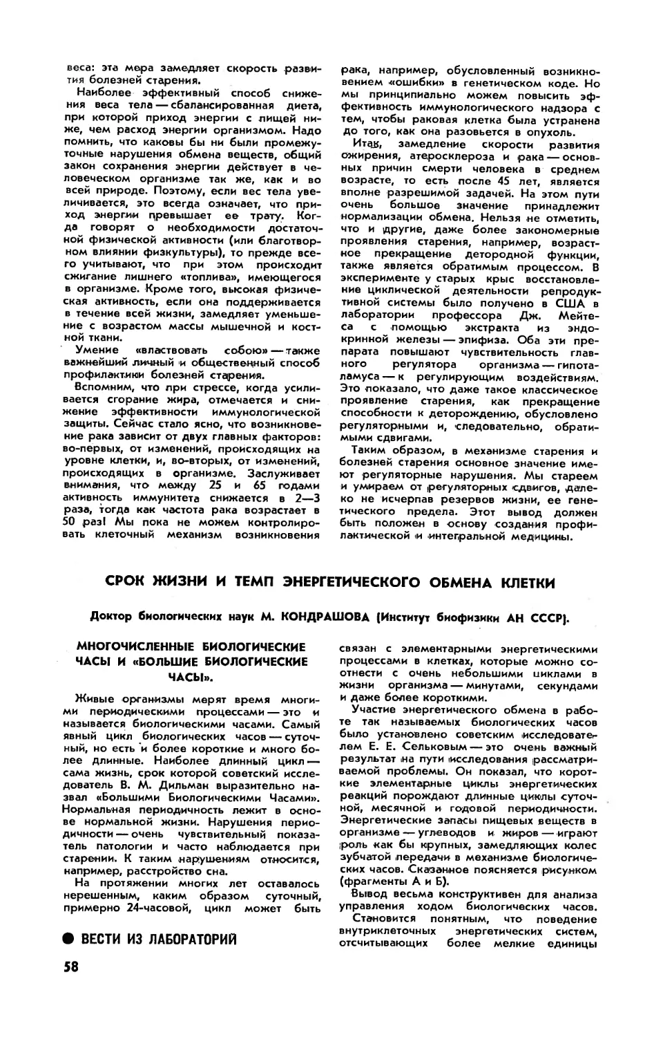 М. КОНДРАШОВА, докт. биол. наук — Срок жизни и темп энергетического обмена клетки
[Вести из лабораторий]