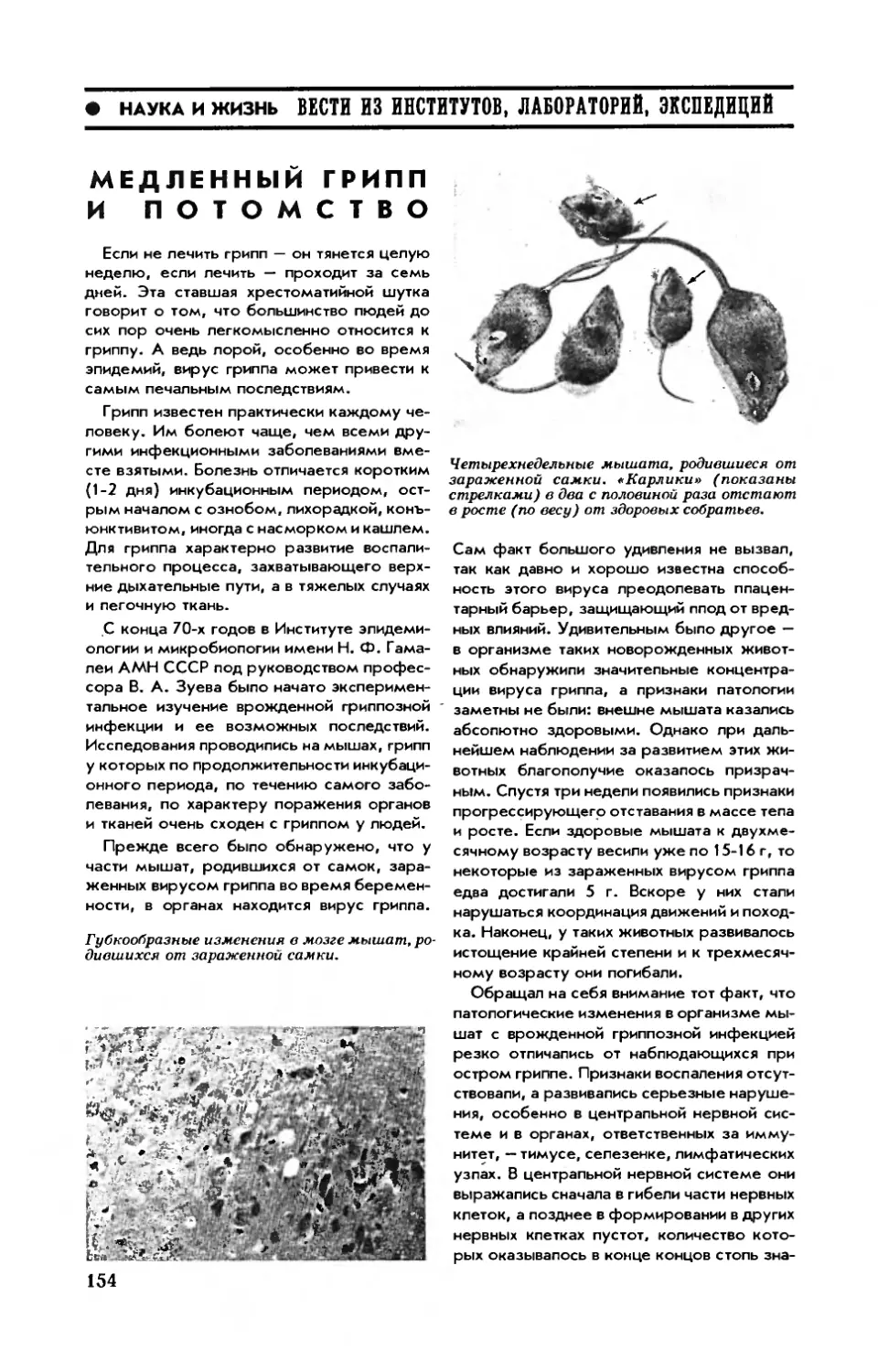 [Вести из институтов, лабораторий, экспедиций]