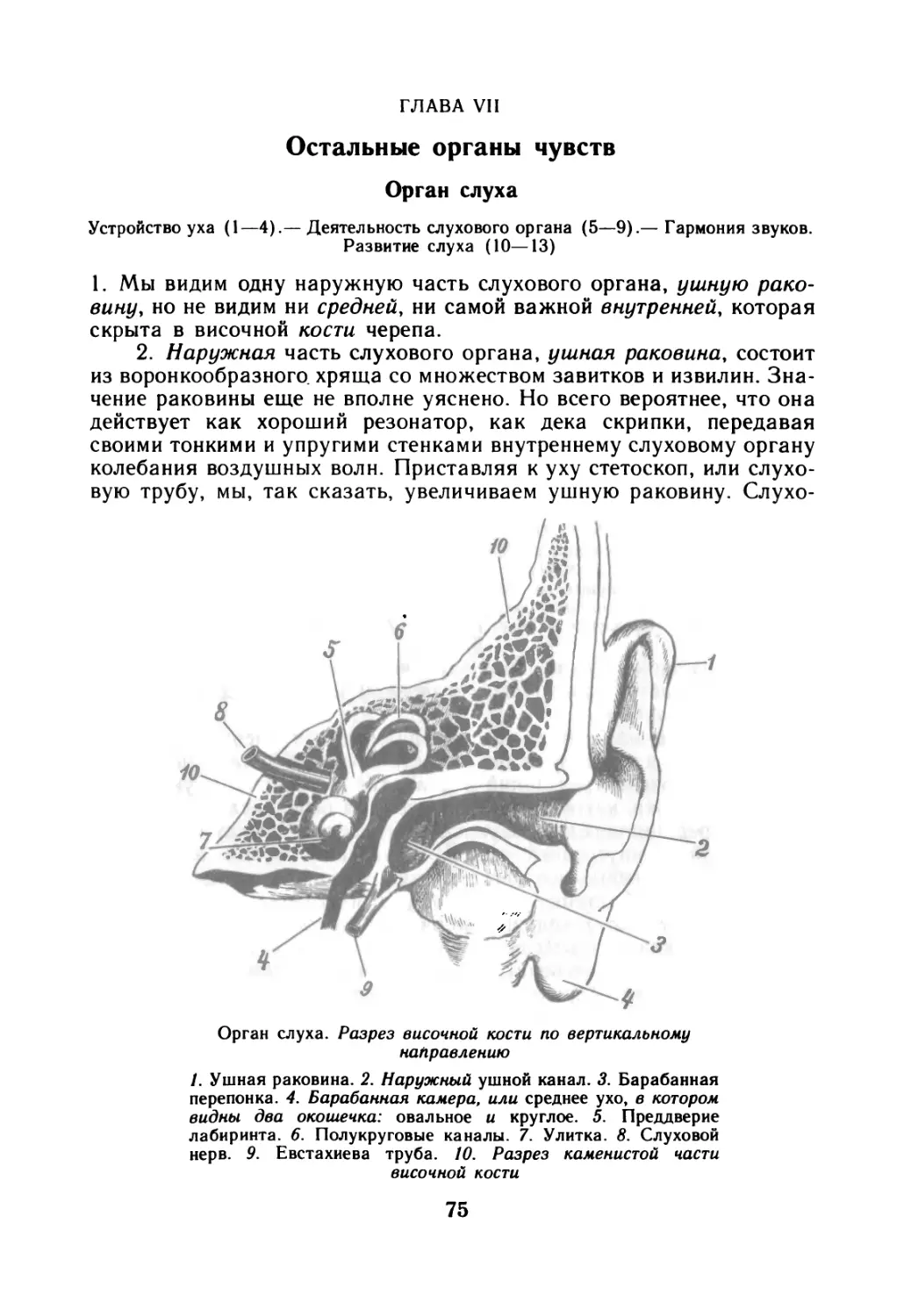 Глава VII. Остальные органы чувств