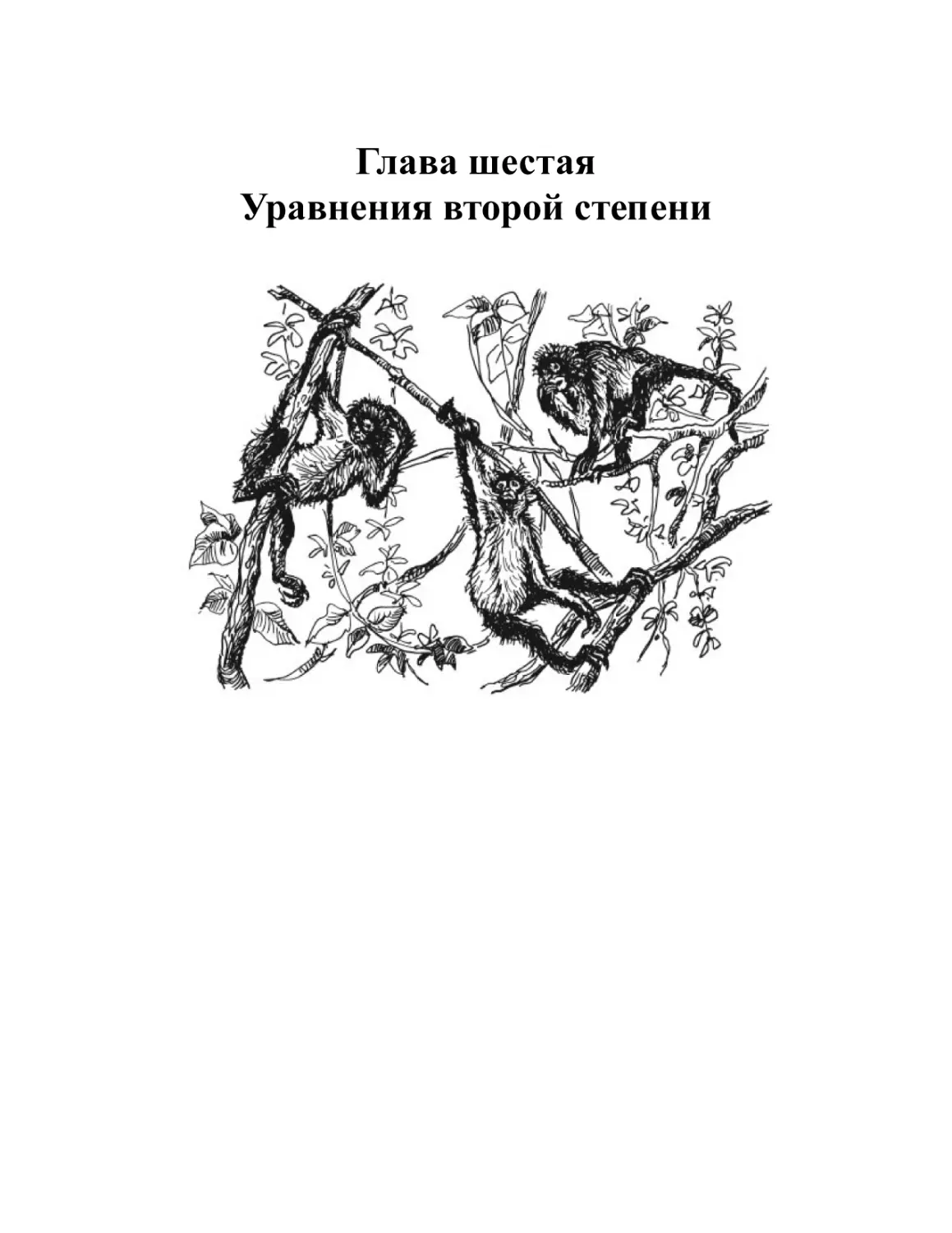 Глава шестая. Уравнения второй степени