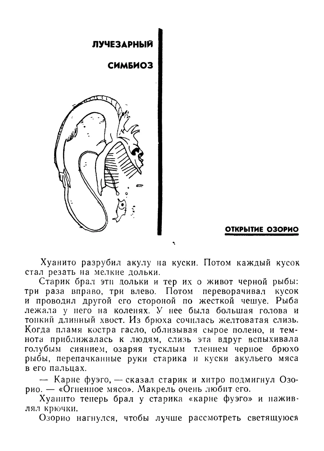 Лучезарный симбиоз