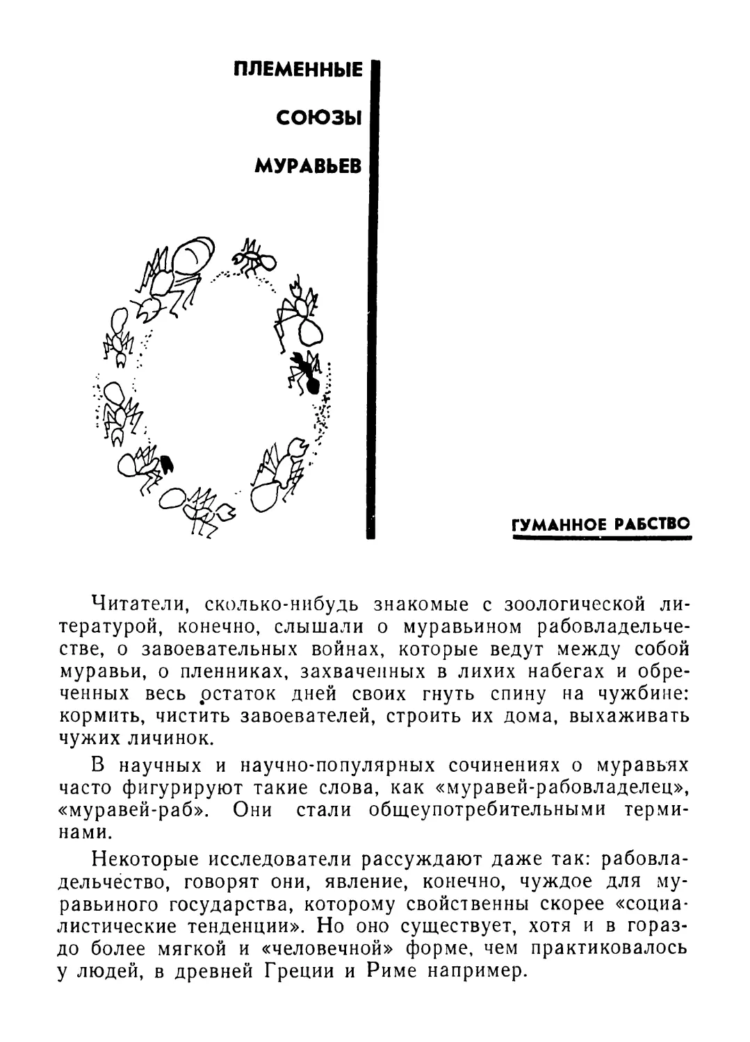 Племенные союзы муравьев