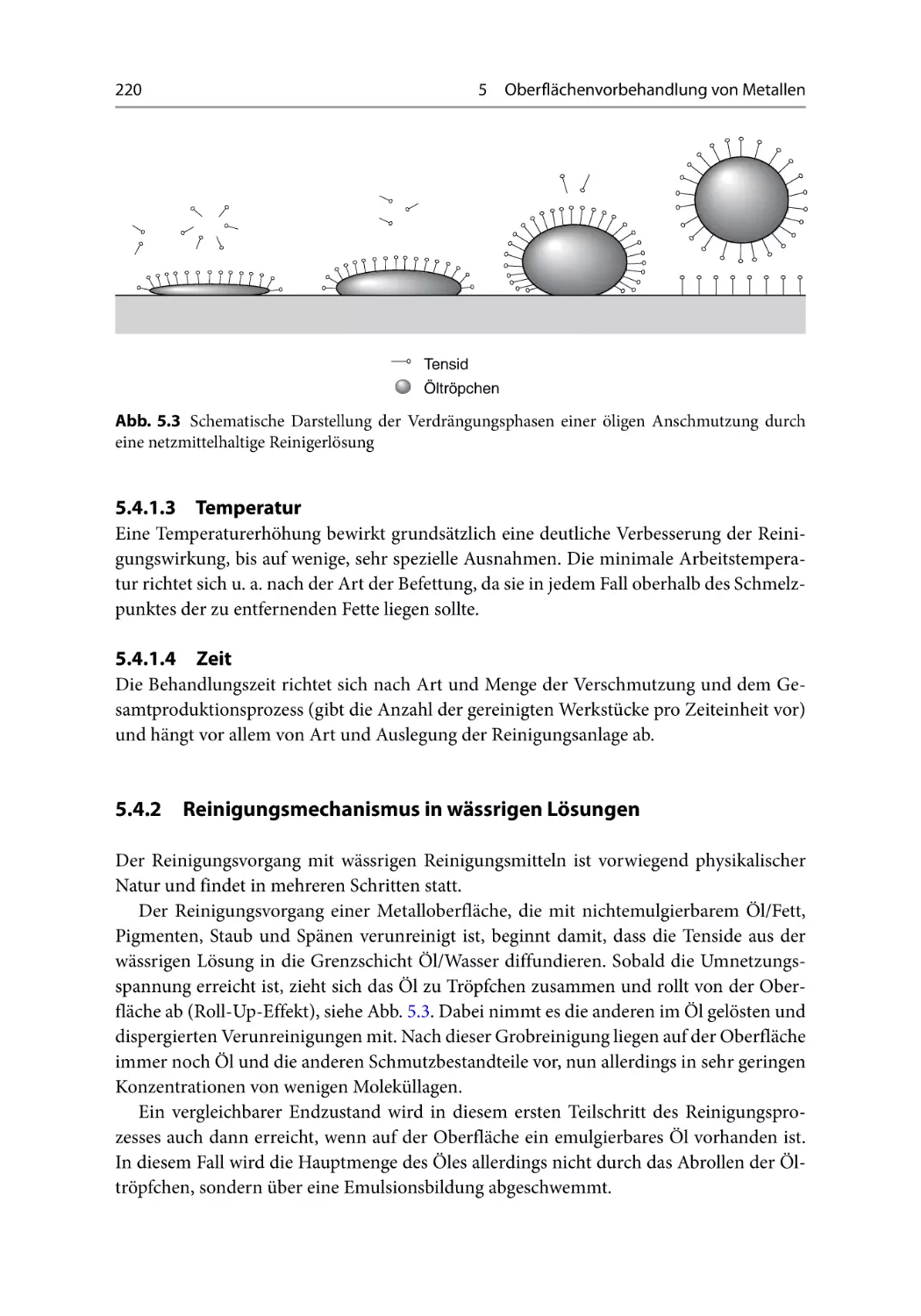 5.4.1.3 Temperatur
5.4.1.4 Zeit
5.4.2 Reinigungsmechanismus in wässrigen Lösungen