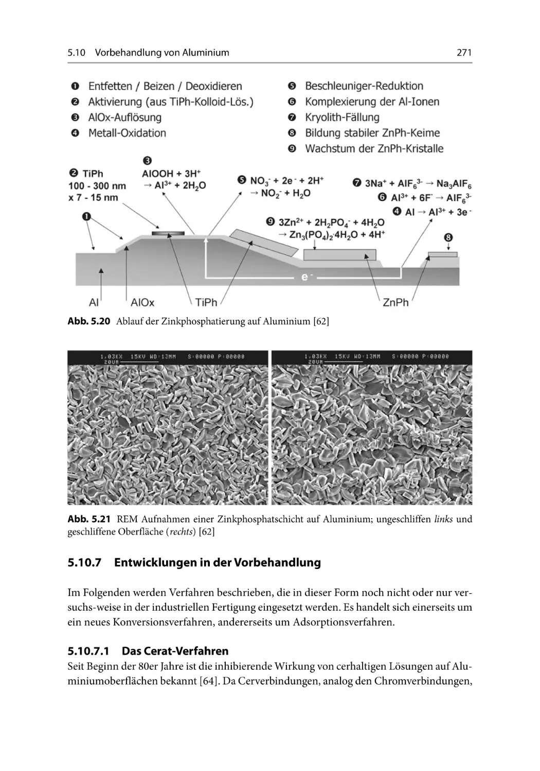 5.10.7 Entwicklungen in der Vorbehandlung
5.10.7.1 Das Cerat-Verfahren