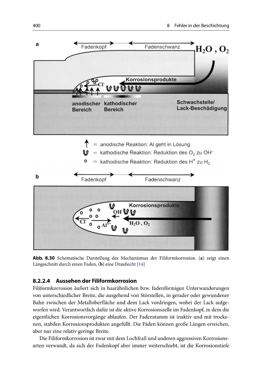 8.2.2.4 Aussehen der Filiformkorrosion