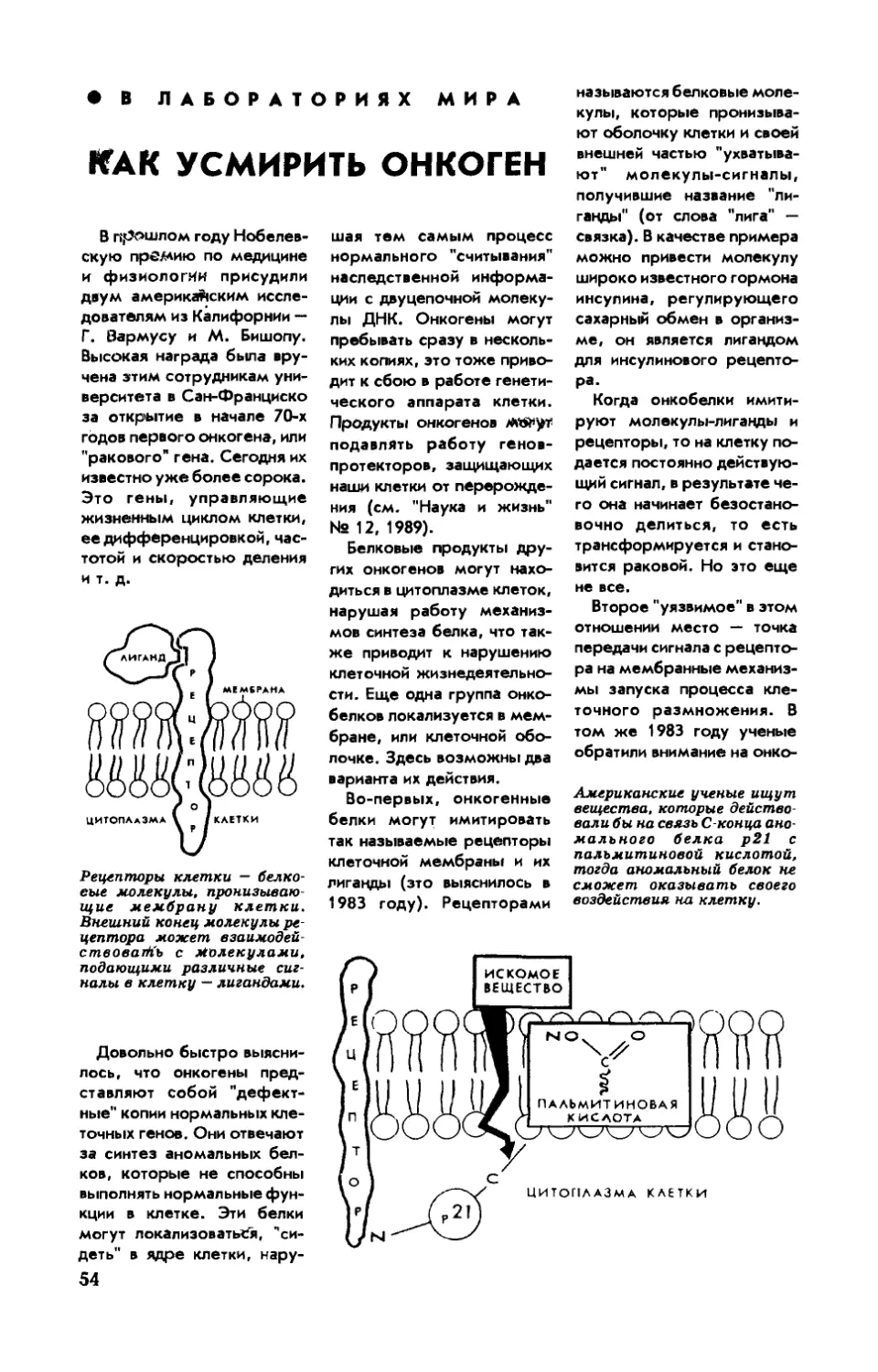 И. ЛАЛАЯНЦ, канд. биол. наук — Как усмирить онкоген