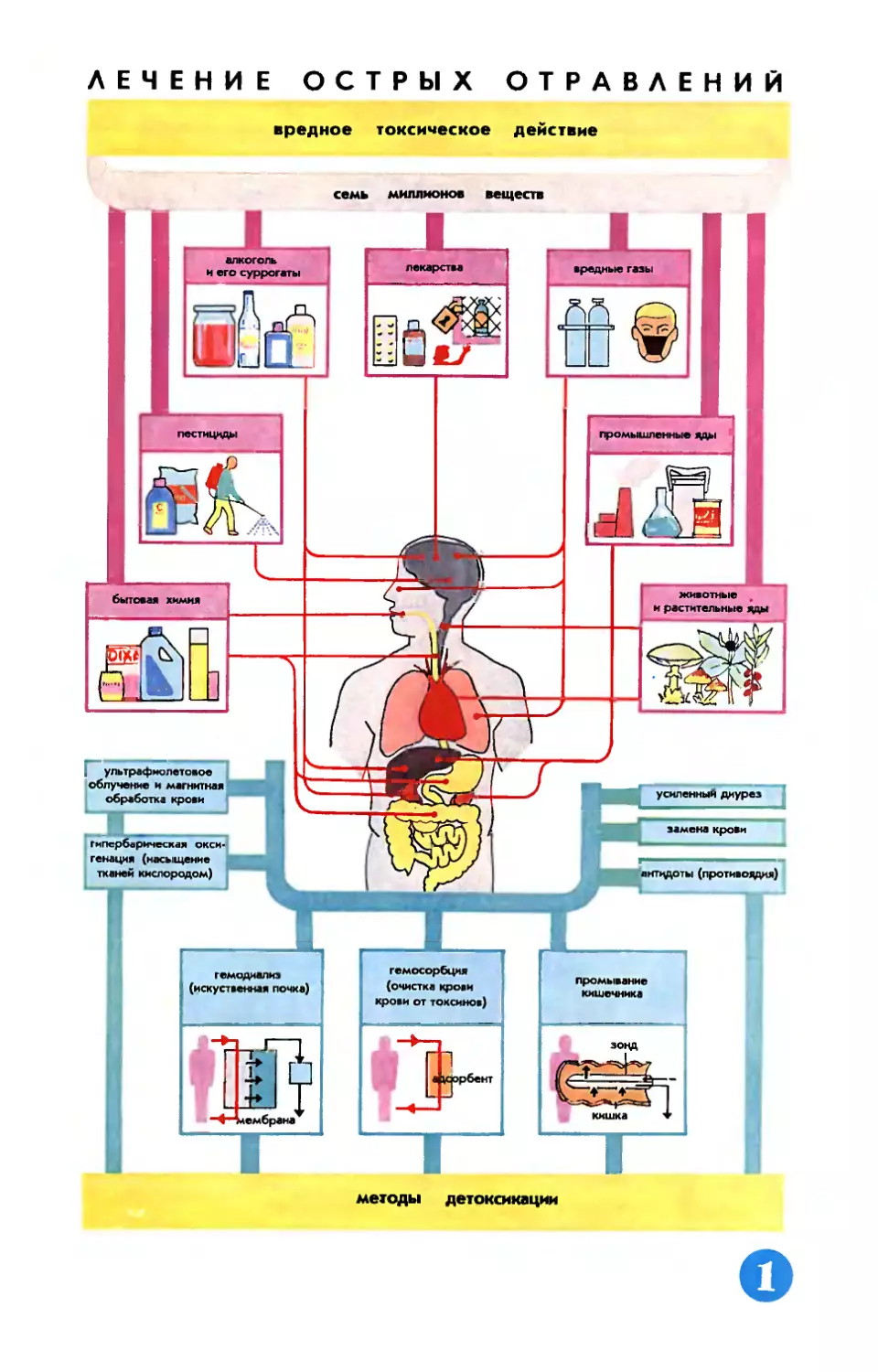 Рис. З. Флоринской — Лечение острых отравлений.
[Вкладки]