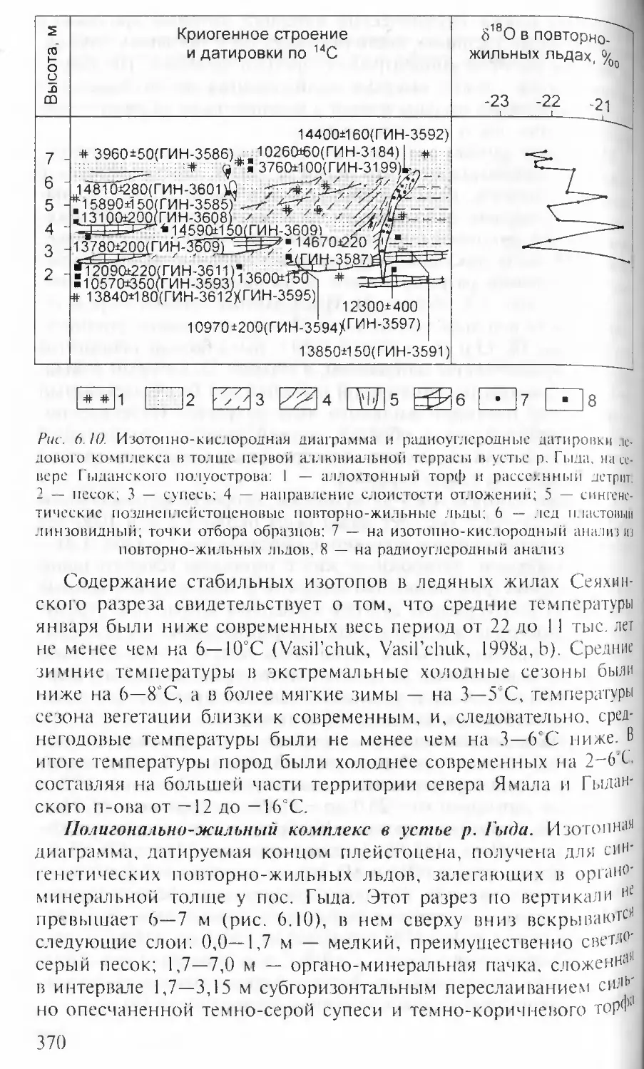 Полигонально-жильный комплекс в устье р. Гыда