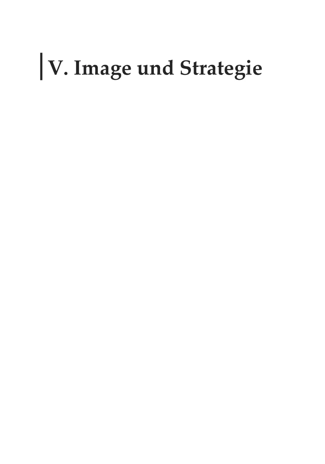 V. Image und Strategie