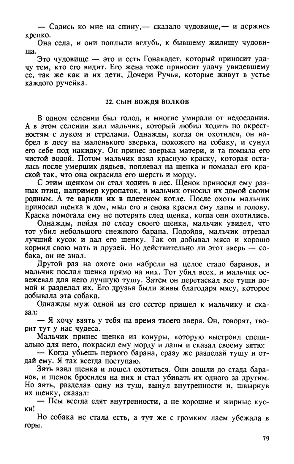 22. Сын вождя Волков