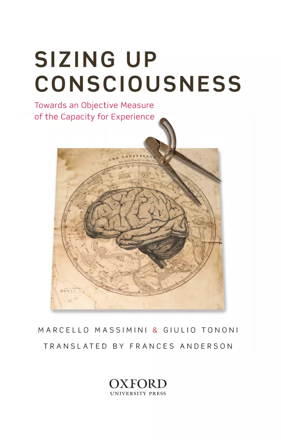 Sizing up Consciousness