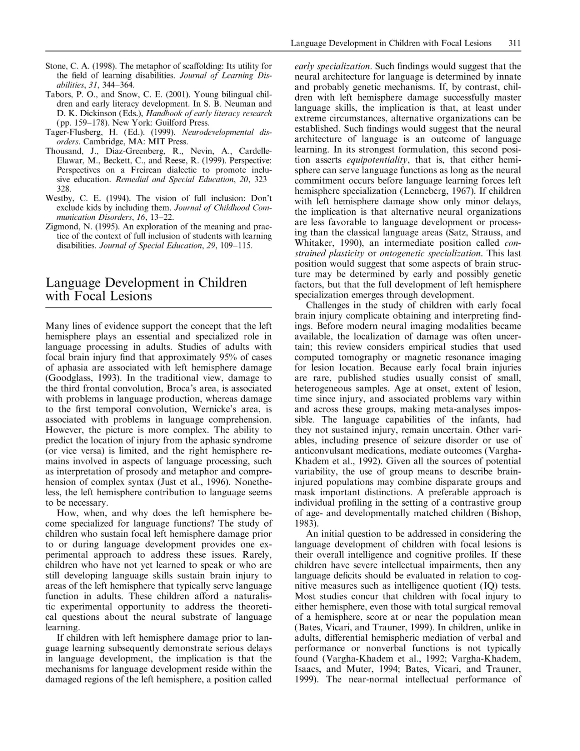 Language Development in Children with Focal Lesions