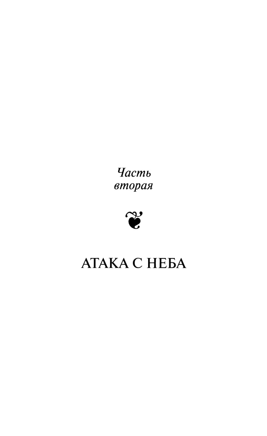 Часть II. АТАКА С НЕБА