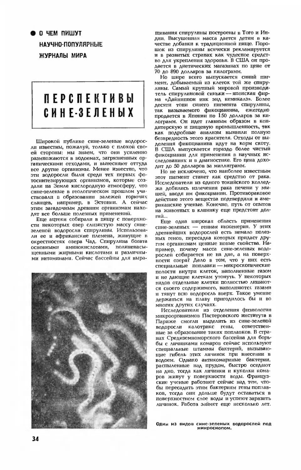 [О чем пишут научно-популярные журналы мира]