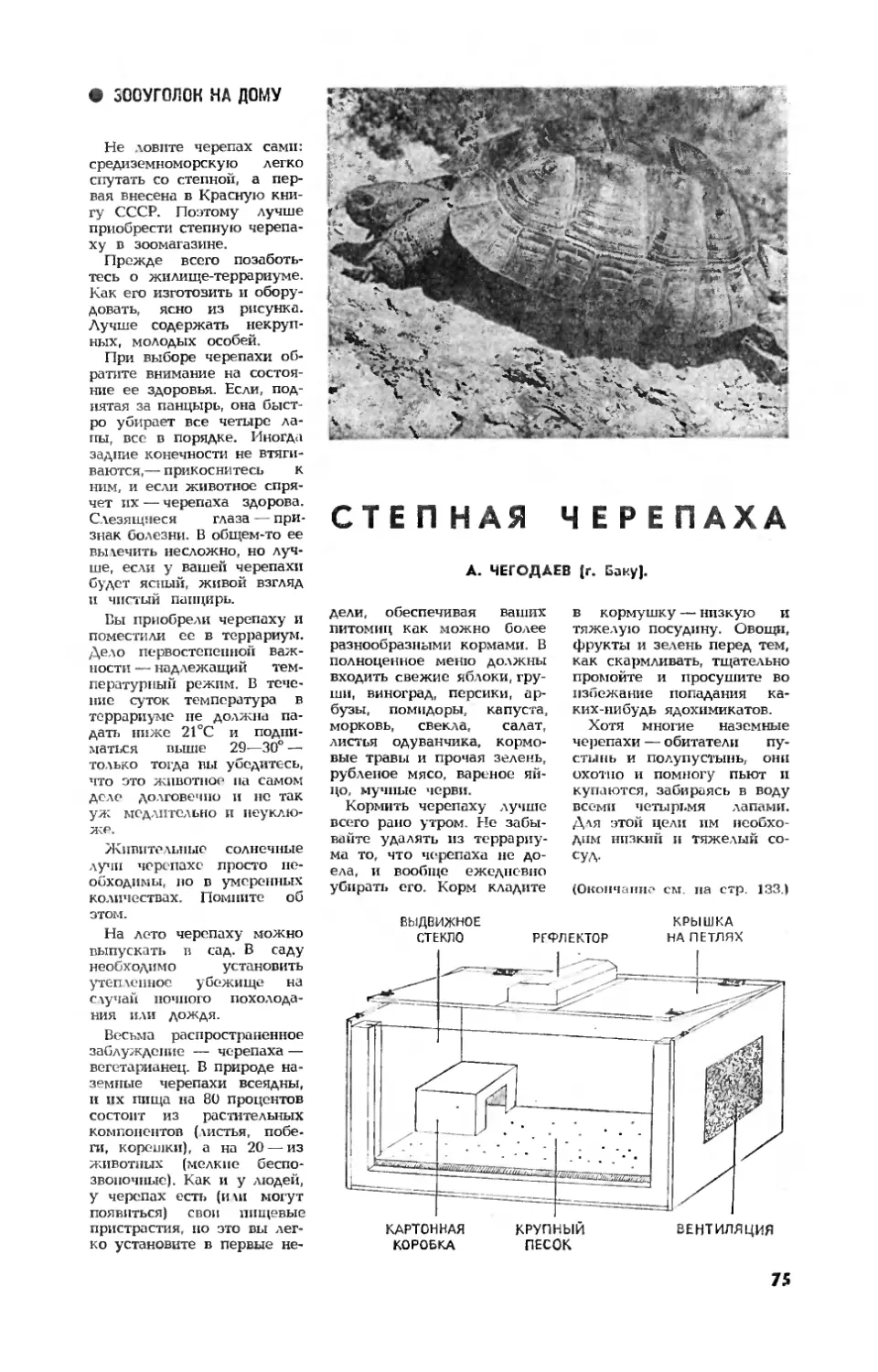 А. ЧЕГОДАЕВ — Степная черепаха