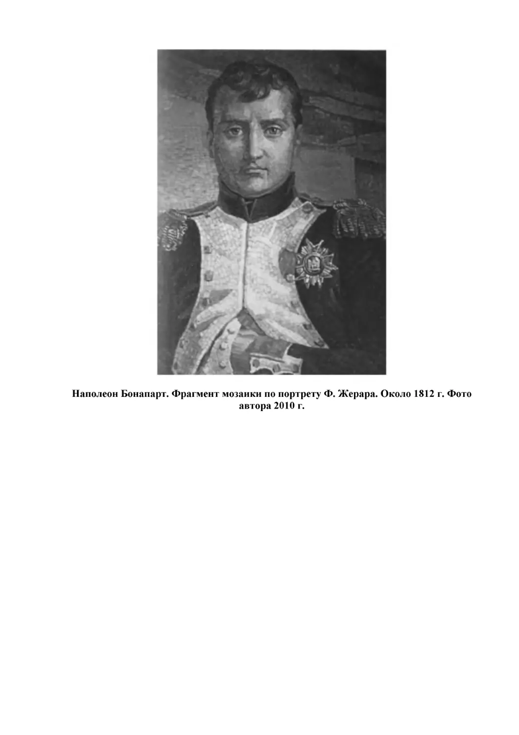 Наполеон Бонапарт. Фрагмент мозаики по портрету Ф. Жерара. Около 1812 г. Фото автора 2010 г.