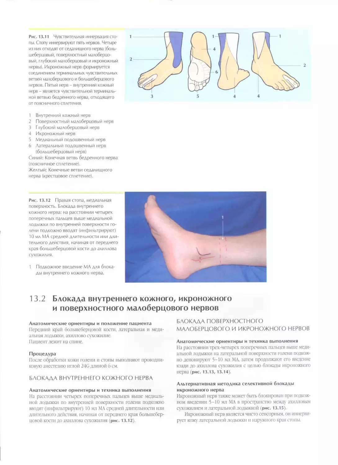 13.2. Блокада внутреннего кожного, икроножного и поверхностного малоберцового нервов