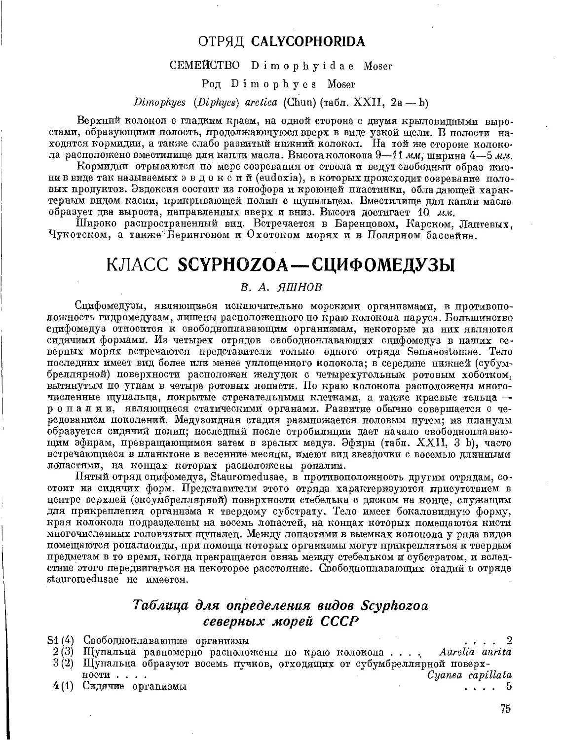 Класс Scyphozoa— Сцифомедузы