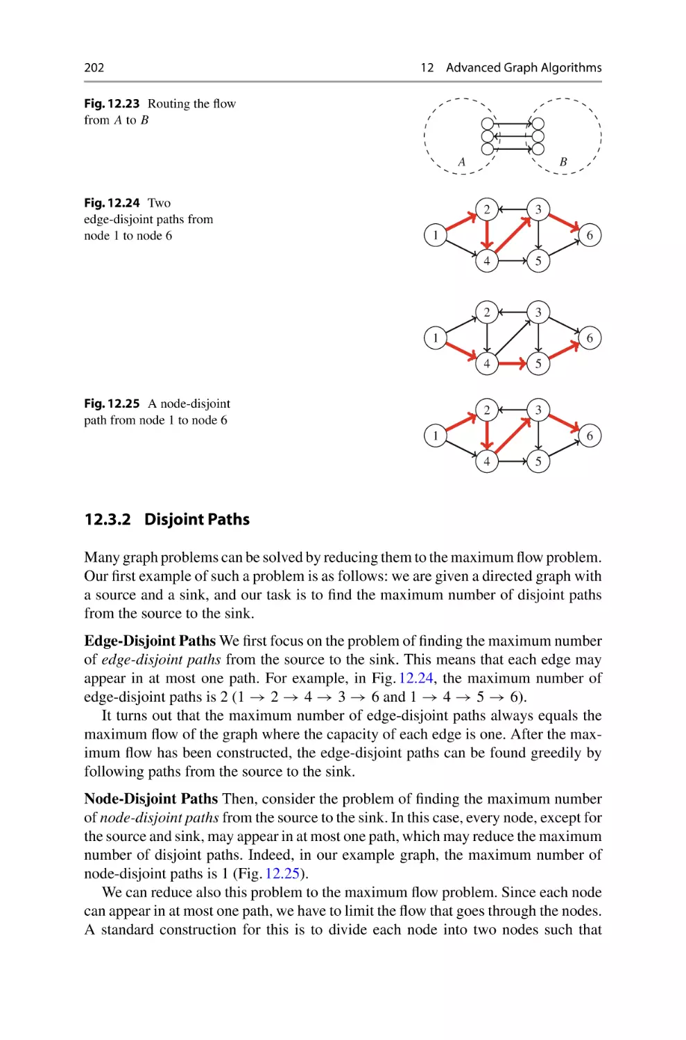 12.3.2 Disjoint Paths