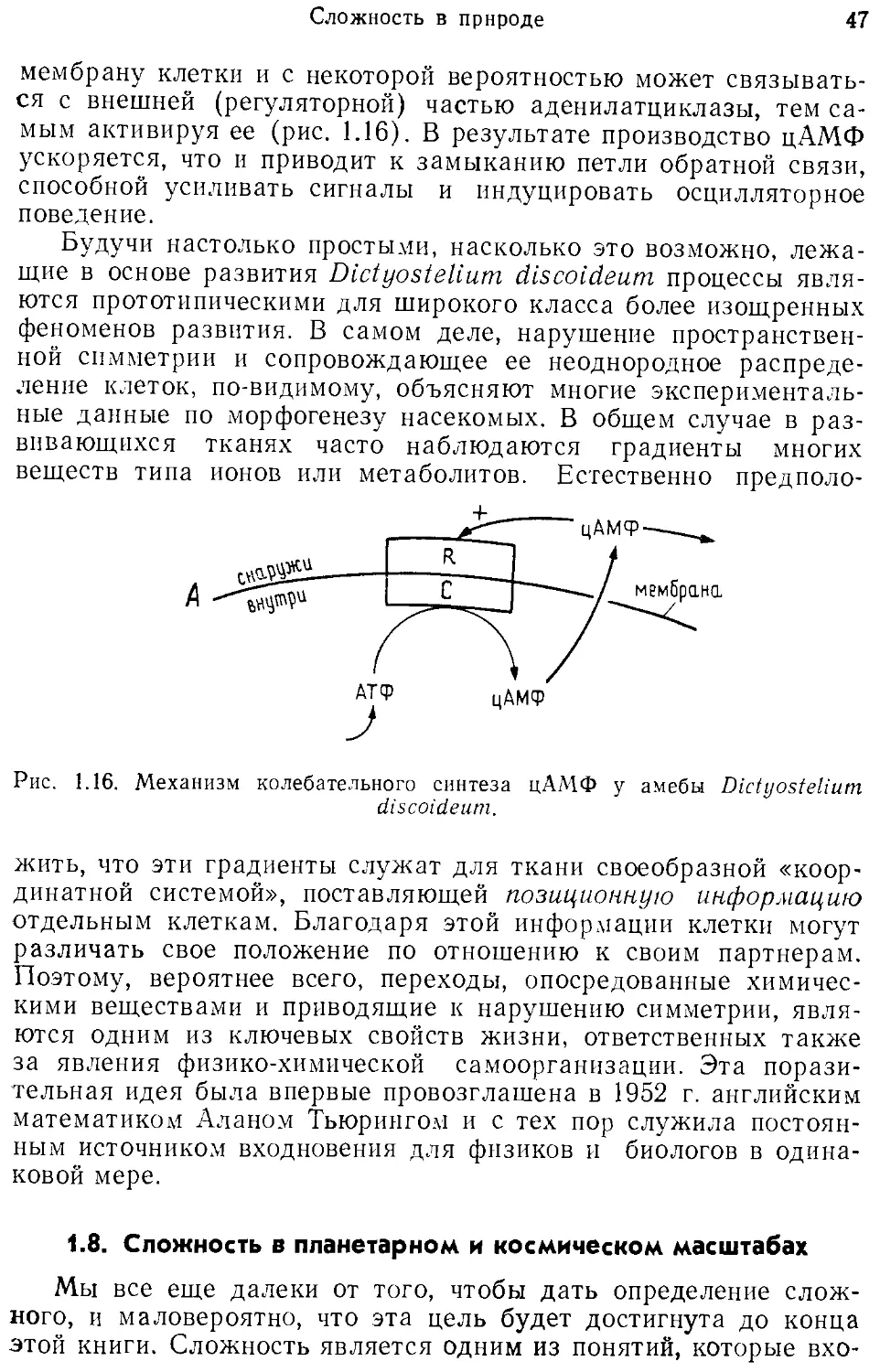 1.8. Сложность в планетарном и космическом масштабах