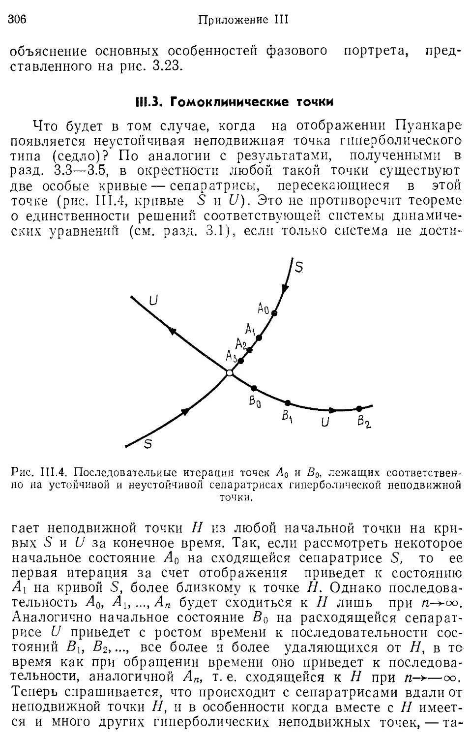 III.3. Гомоклинические точки