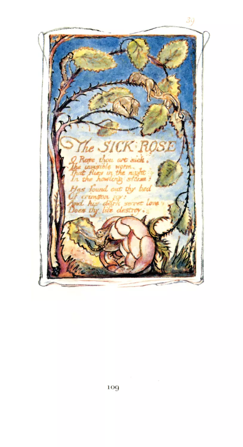 39. The Sick Rose