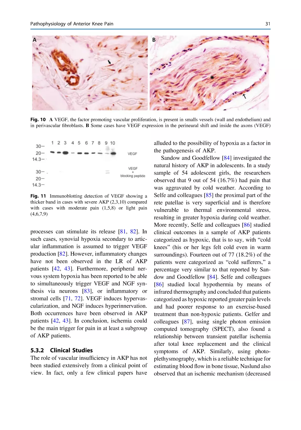 5.3.2 Clinical Studies