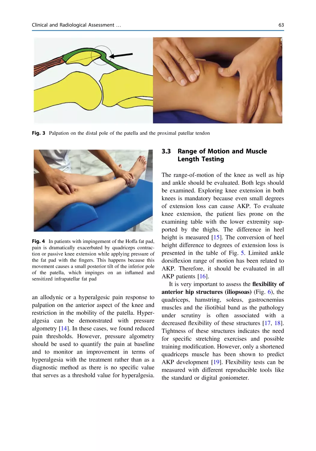 3.3 Range of Motion and Muscle Length Testing