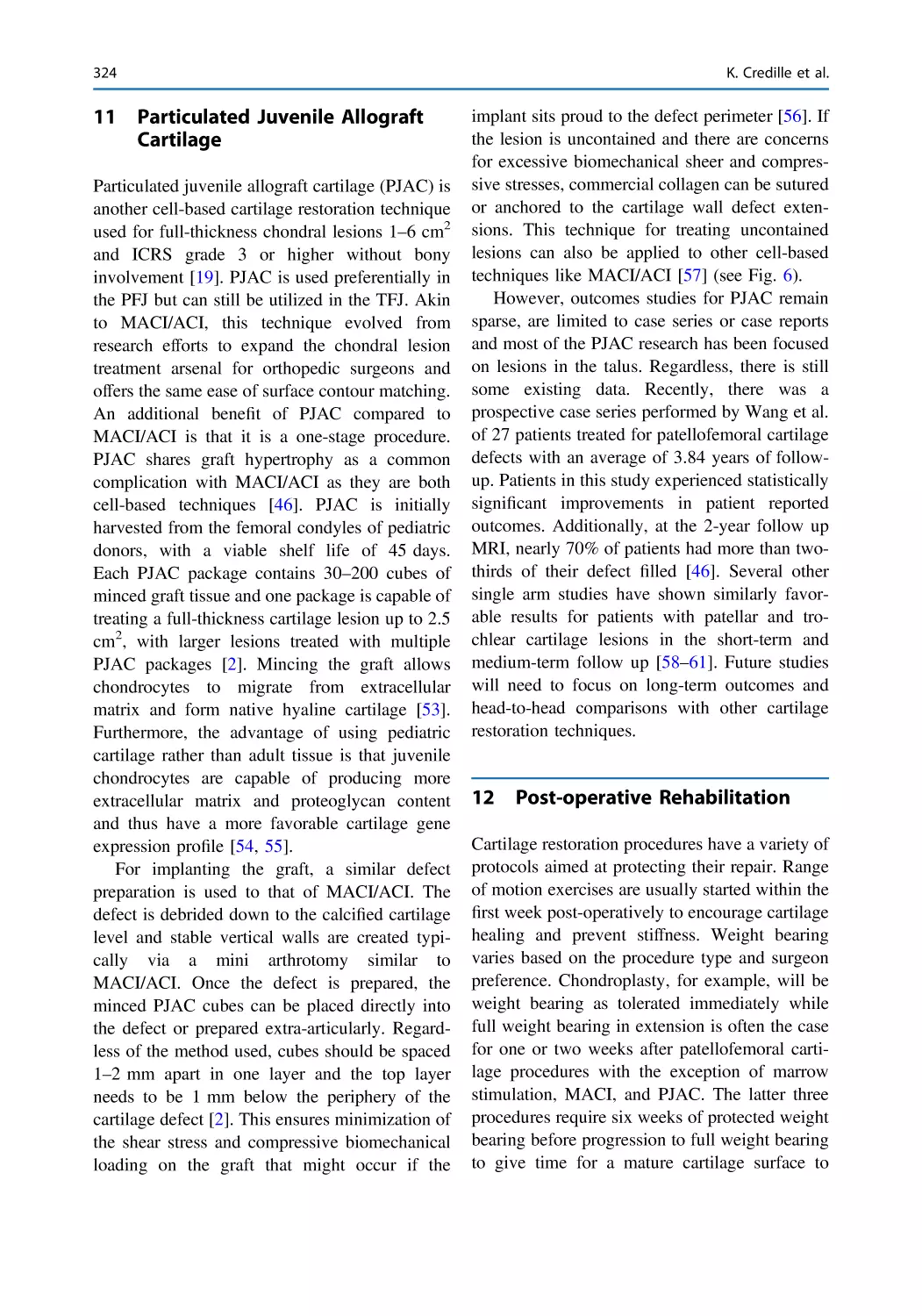 11 Particulated Juvenile Allograft Cartilage
12 Post-operative Rehabilitation