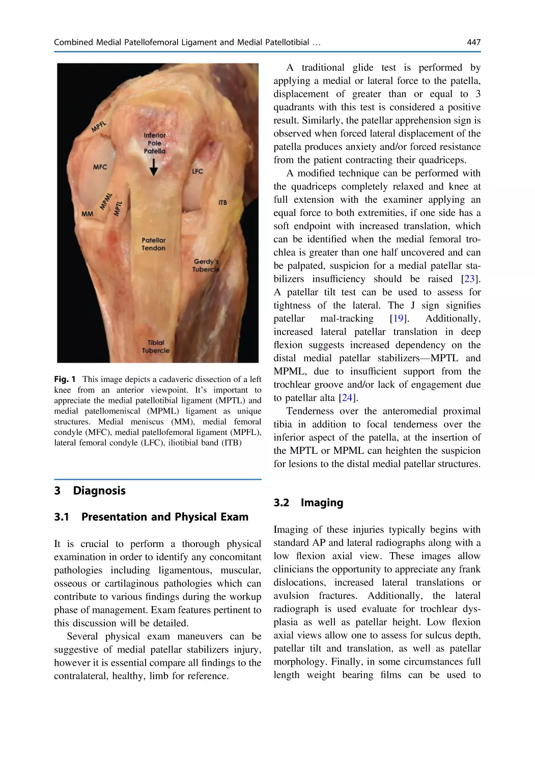 3 Diagnosis
3.1 Presentation and Physical Exam
3.2 Imaging