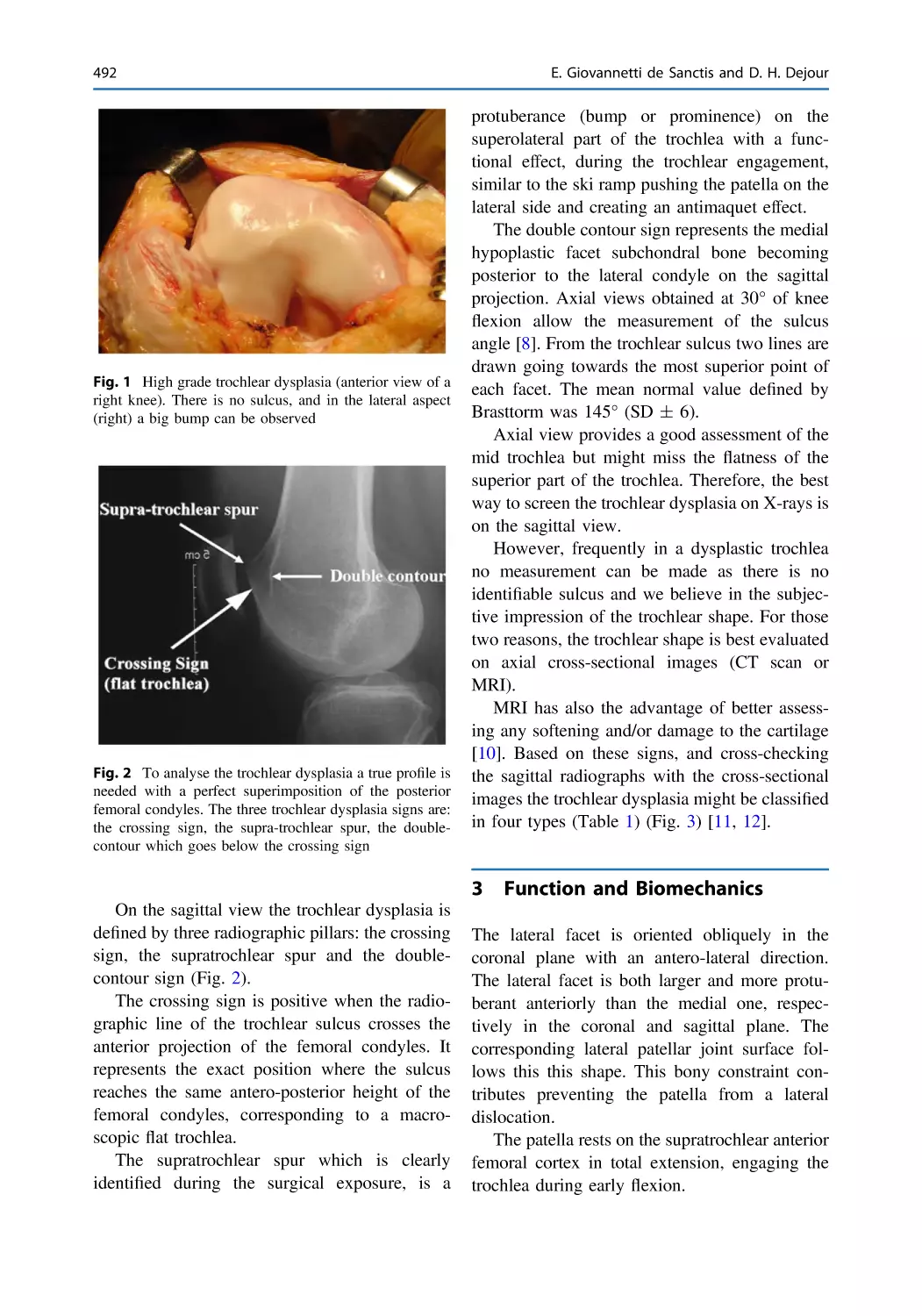 3 Function and Biomechanics