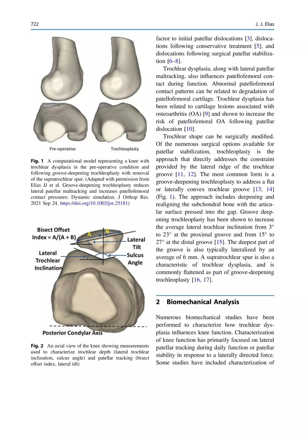 2 Biomechanical Analysis