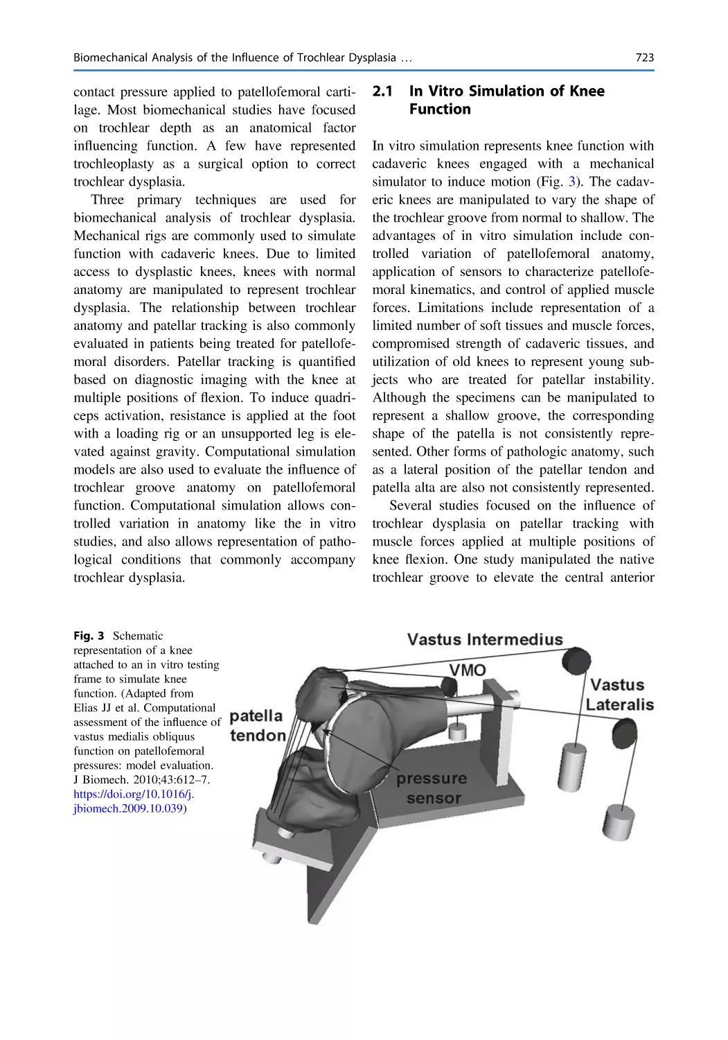 2.1 In Vitro Simulation of Knee Function